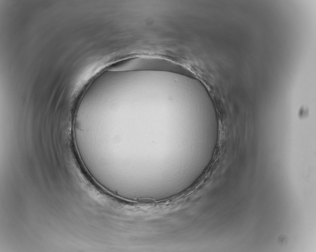 X0000093370005200711011238