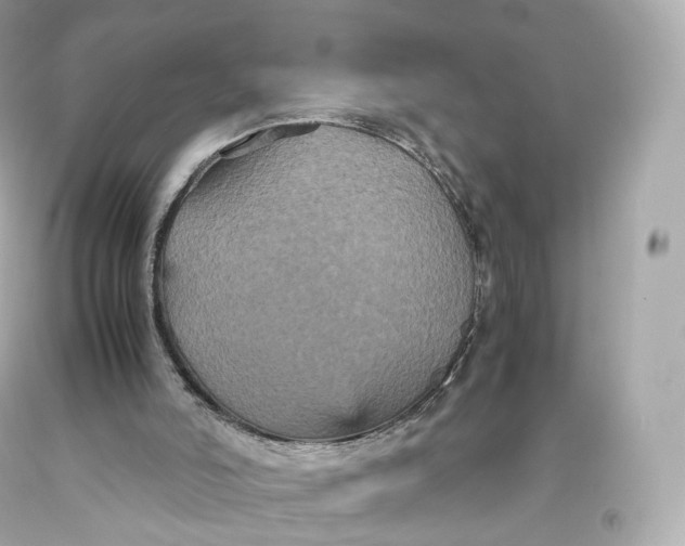 X0000093370006200711011238