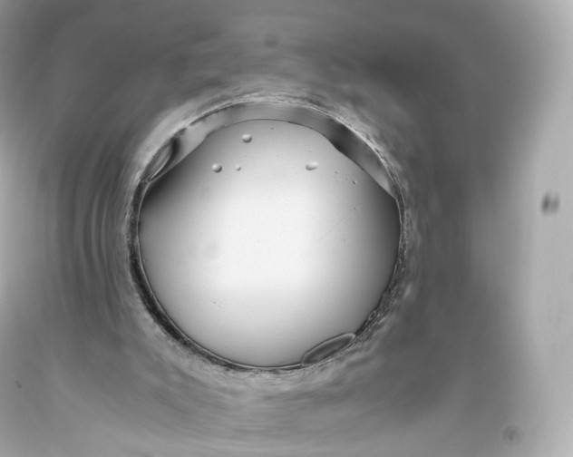 X0000093370007200711011238