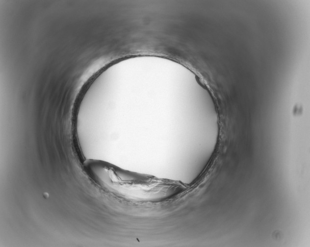 X0000093370008200711011238