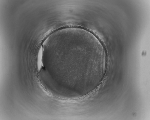 X0000093370009200711011238