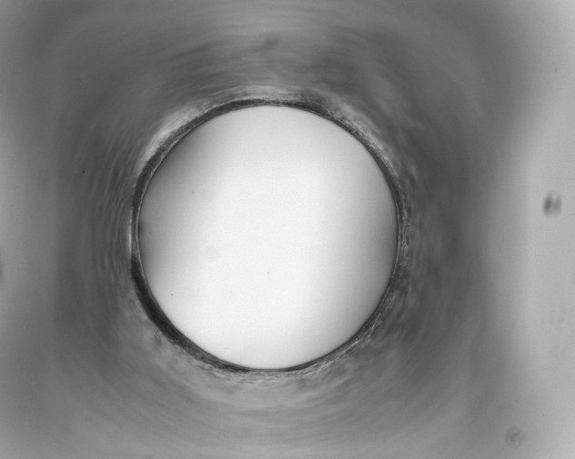 X0000093370011200711011238