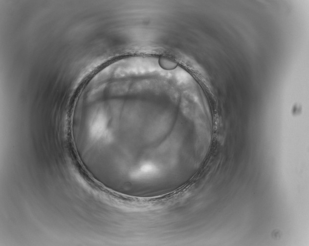 X0000093370012200711011238
