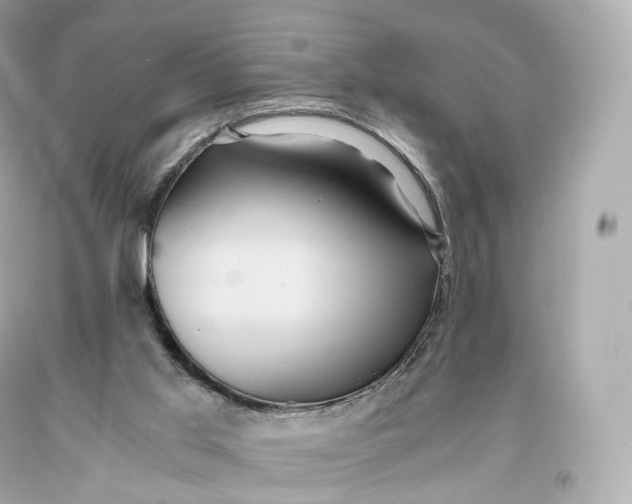 X0000093370013200711011238