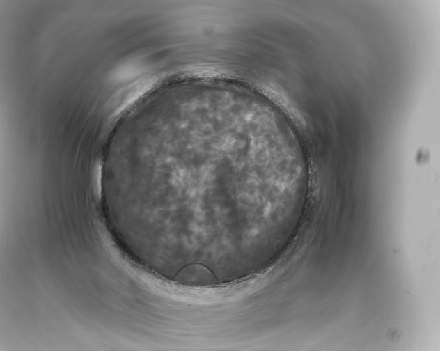 X0000093370014200711011238