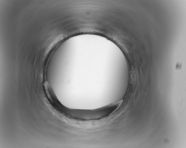 X0000093370015200711011238