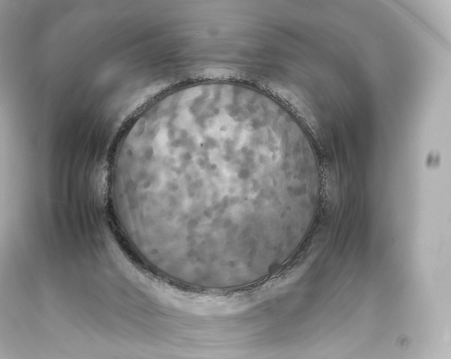 X0000093370016200711011238