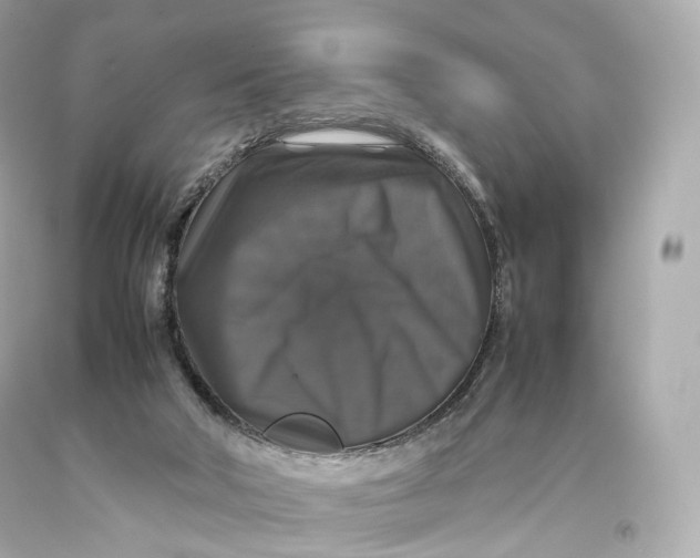 X0000093370018200711011238