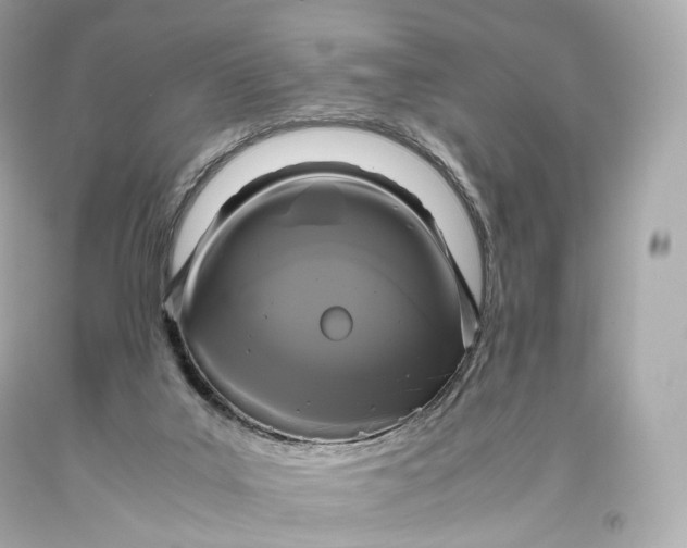 X0000093370019200711011238