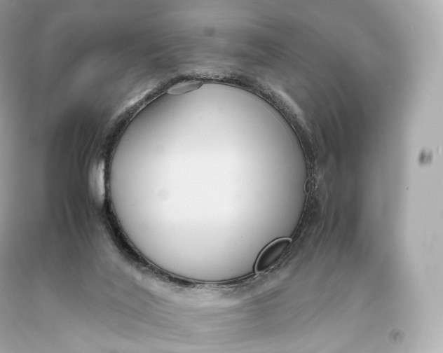 X0000093370020200711011238