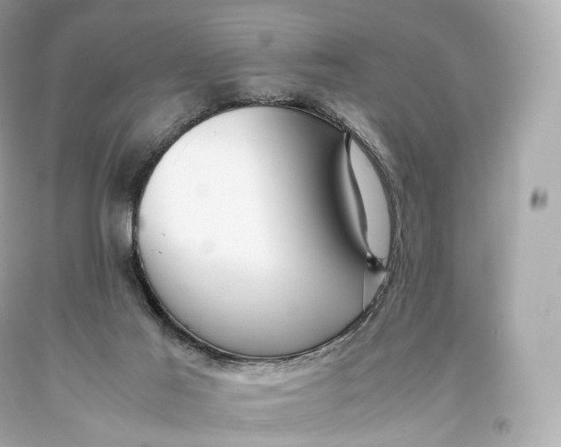 X0000093370021200711011238