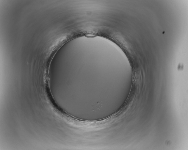 X0000093370023200711011238
