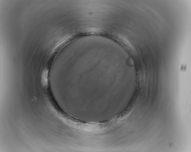 X0000093370024200711011238