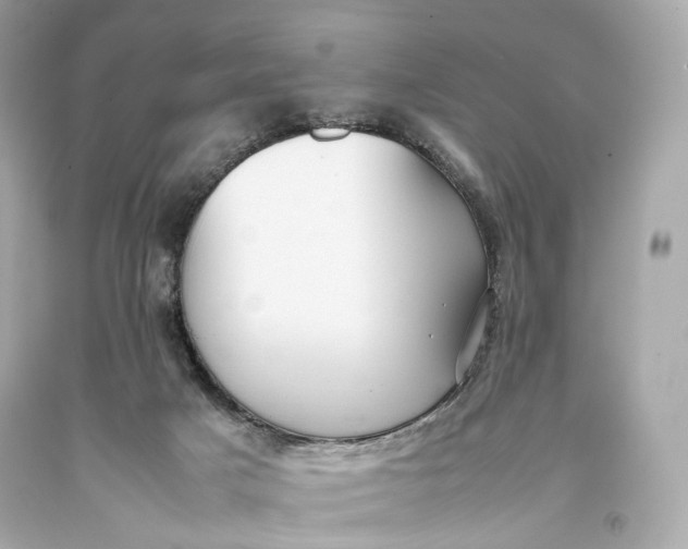 X0000093370025200711011238