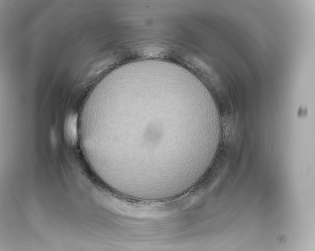 X0000093370028200711011238