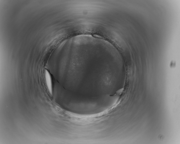 X0000093370029200711011238