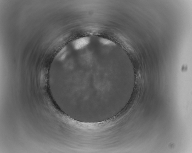 X0000093370030200711011238
