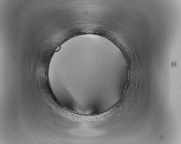 X0000093370031200711011238