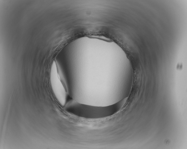 X0000093370033200711011238