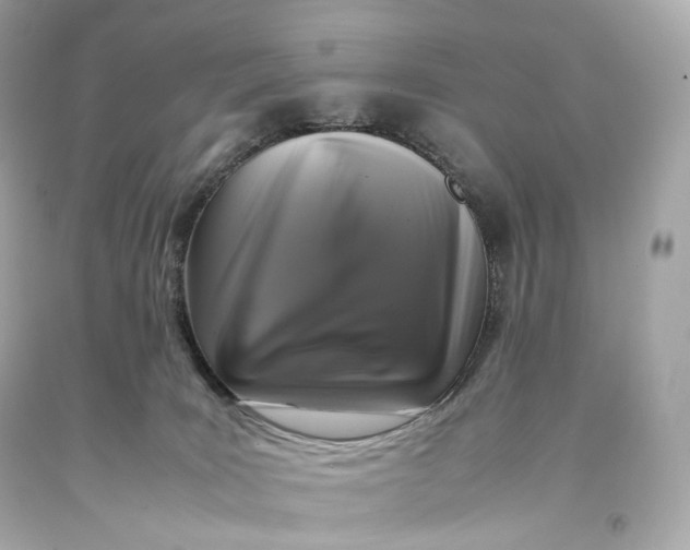 X0000093370035200711011238