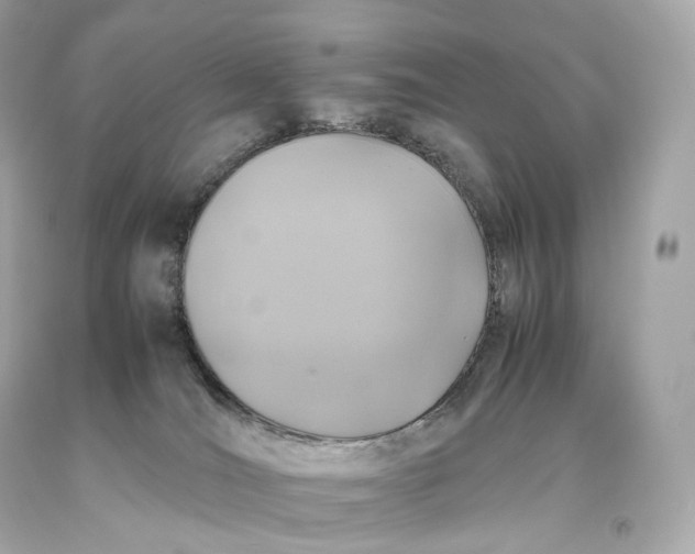 X0000093370036200711011238