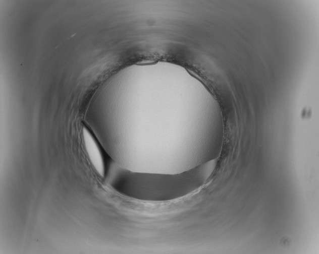 X0000093370037200711011238