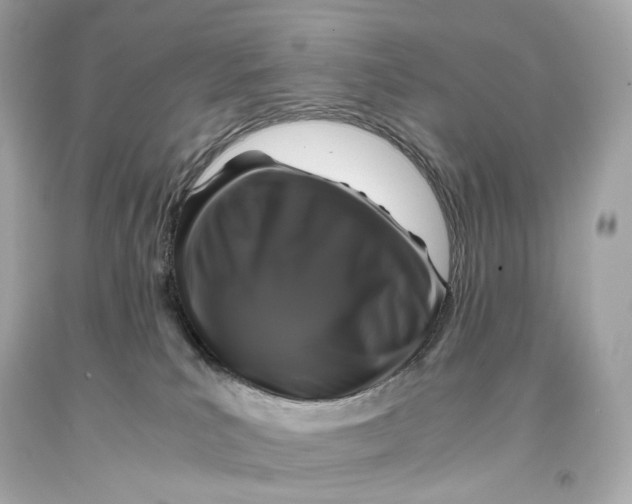 X0000093370039200711011238