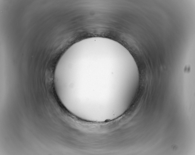 X0000093370040200711011238