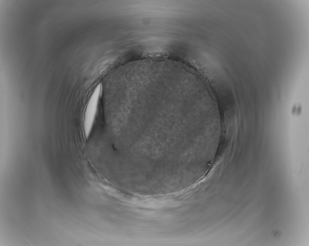 X0000093370041200711011238