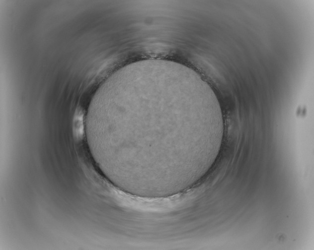 X0000093370042200711011238
