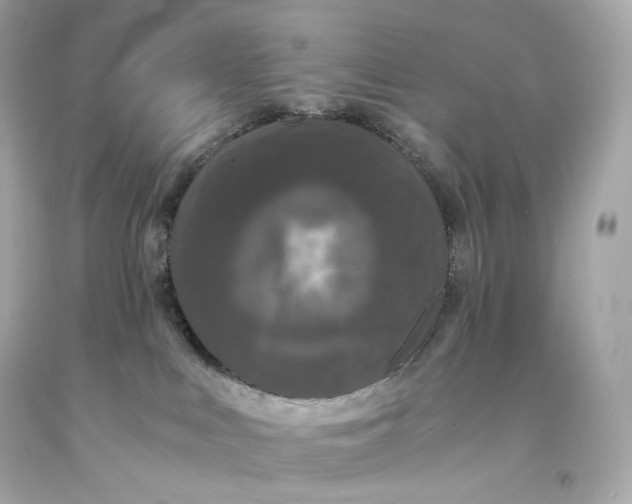 X0000093370043200711011237