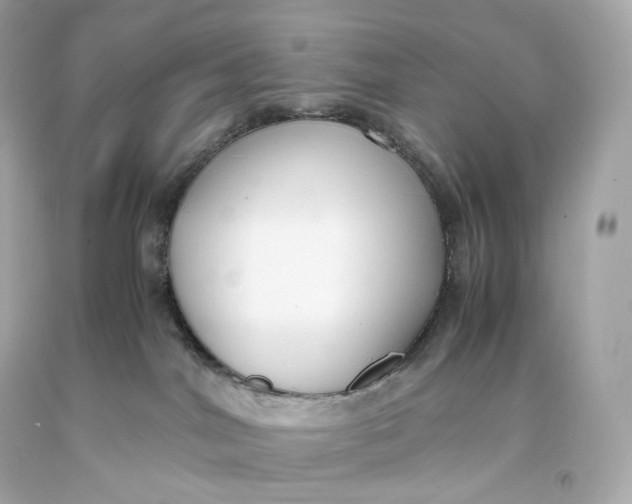 X0000093370044200711011237