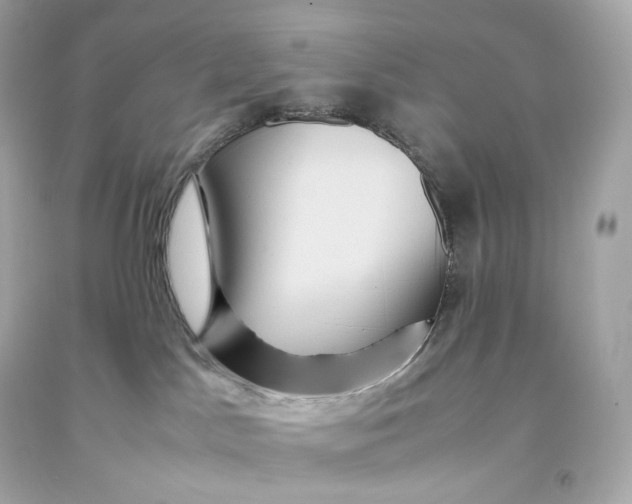 X0000093370045200711011237