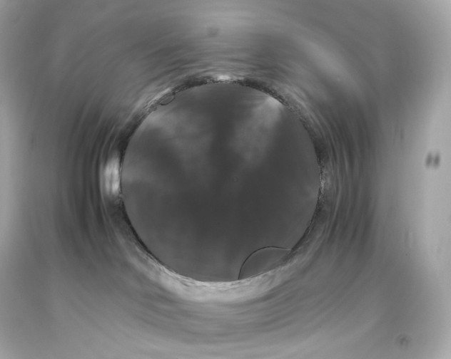 X0000093370046200711011237