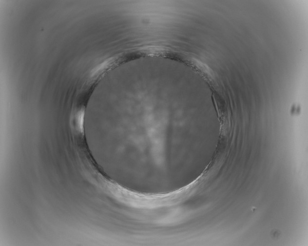 X0000093370047200711011237