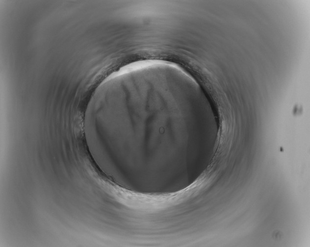 X0000093370048200711011237