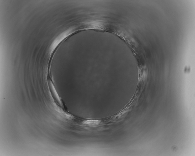X0000093370051200711011237