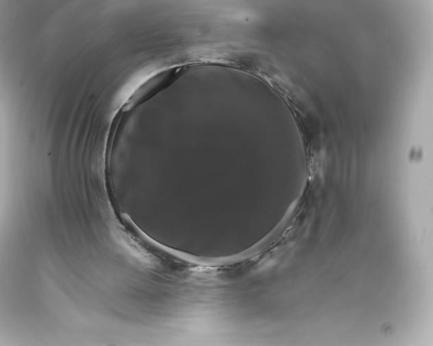 X0000093370052200711011237