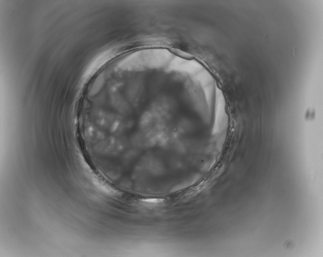 X0000093370053200711011237