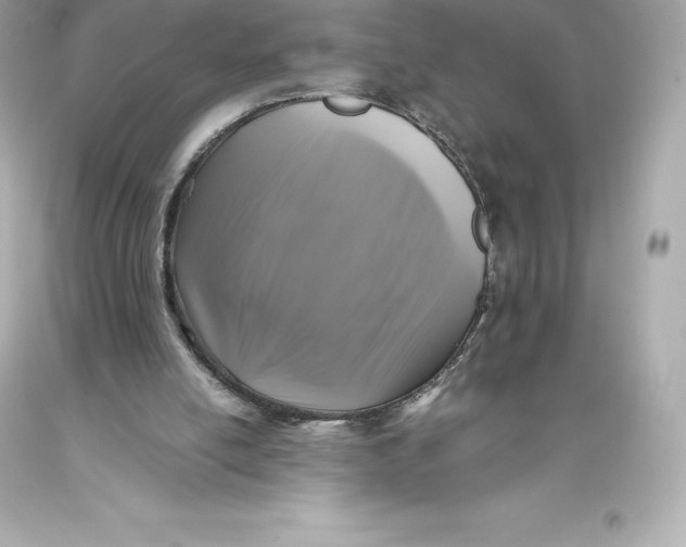 X0000093370054200711011237