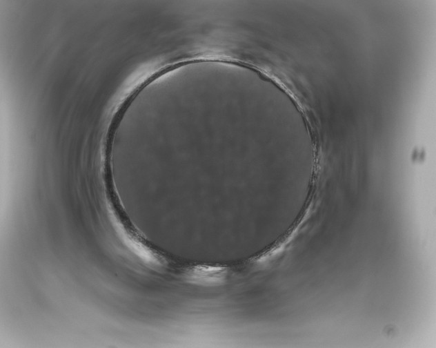 X0000093370055200711011237