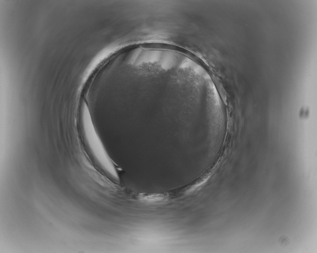 X0000093370056200711011237