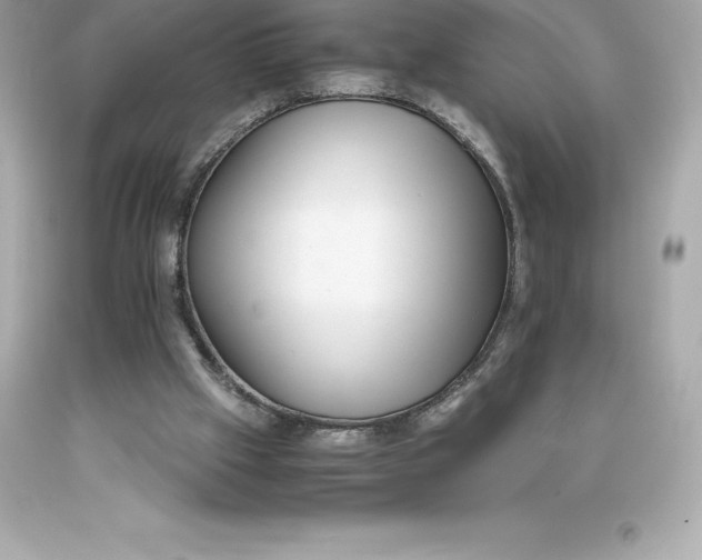 X0000093370057200711011237