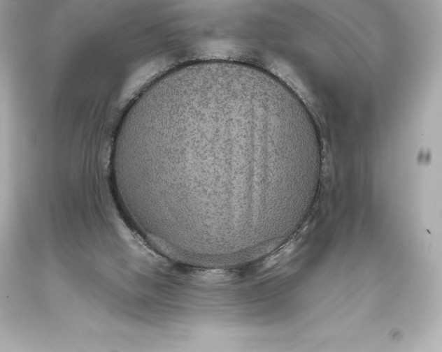 X0000093370058200711011237