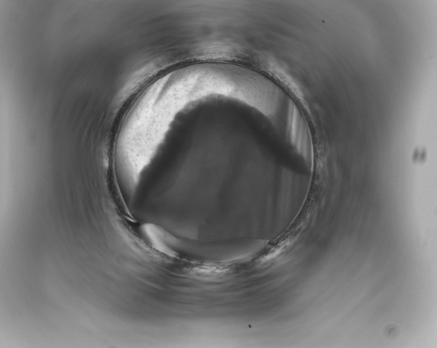 X0000093370059200711011237