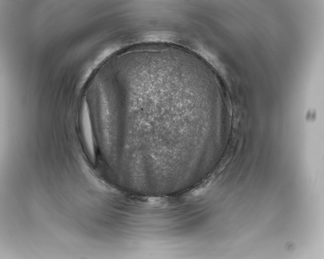 X0000093370060200711011237