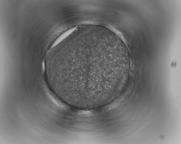 X0000093370061200711011237