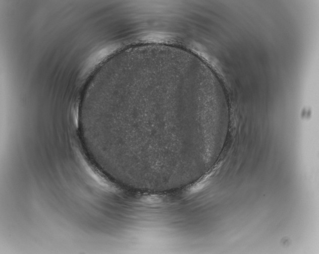 X0000093370062200711011237