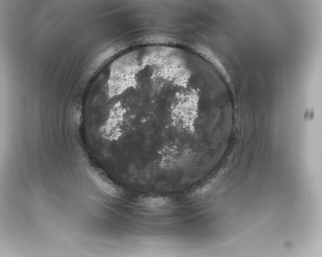 X0000093370063200711011237