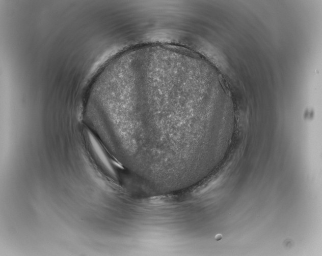 X0000093370064200711011237